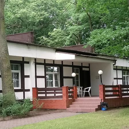 Hostel Dworek Osiecki Koral Osieki  Εξωτερικό φωτογραφία